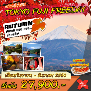 TOKYO FUJI FREEDAY เดินทาง กันยายน-ธันวาคม 2560